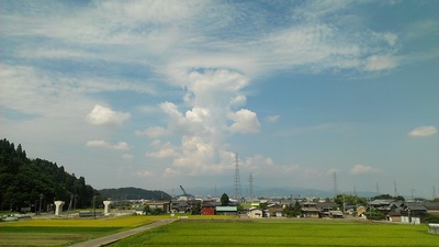2012-08-18 10.11.55.jpg